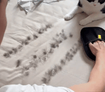 Pet Hair Remover Glove for Dogs & Cats